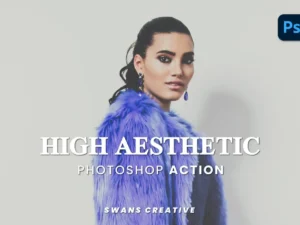 high aesthetic photoshop action