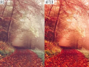 landscape tone photoshop action lightrom presets 3