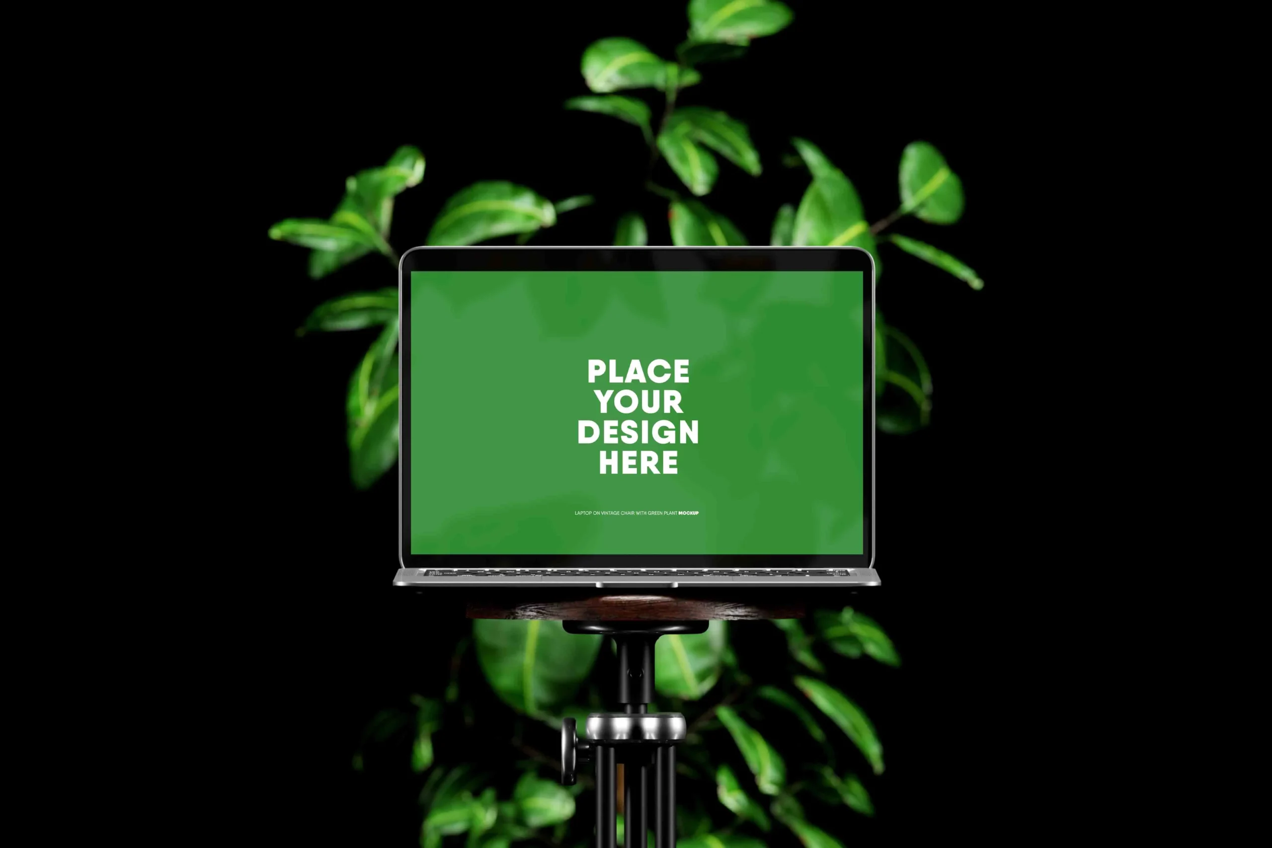 Laptop On Vintage Chair With Green Plant Mockup