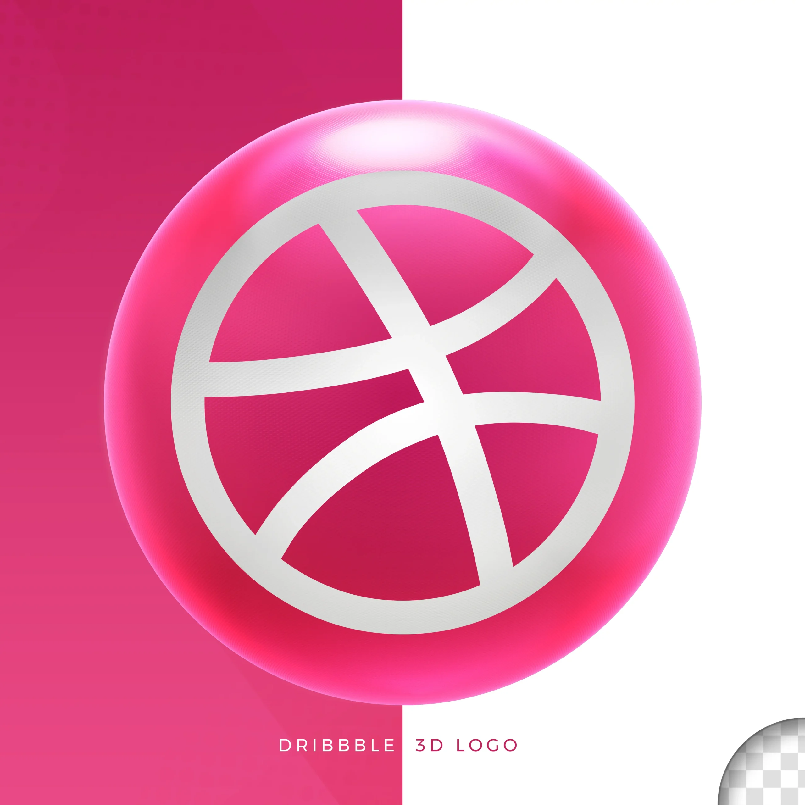 Logo Dribbble In Ellipse 3D Design