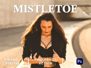 mistletoe photoshop action 2