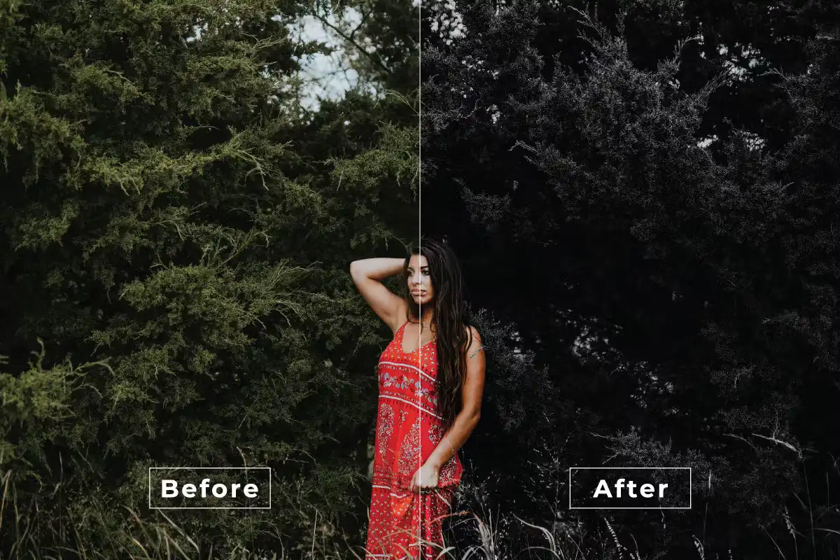 Modern Colors Photoshop Action