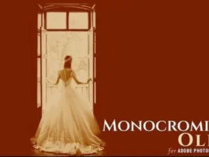 monocromic old photoshop action v2 emsa