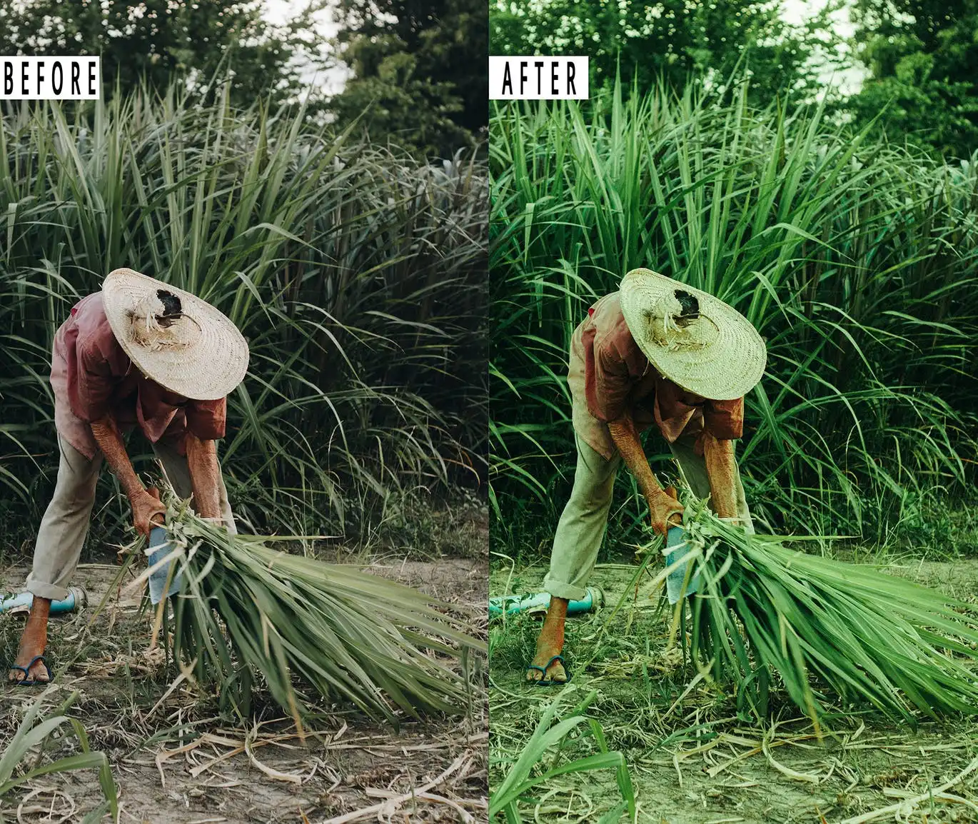 Nature Photoshop Action & Lightrom Presets 6 nature photoshop action lightrom presets 3