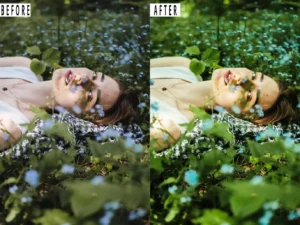 nature photoshop action lightrom presets 4