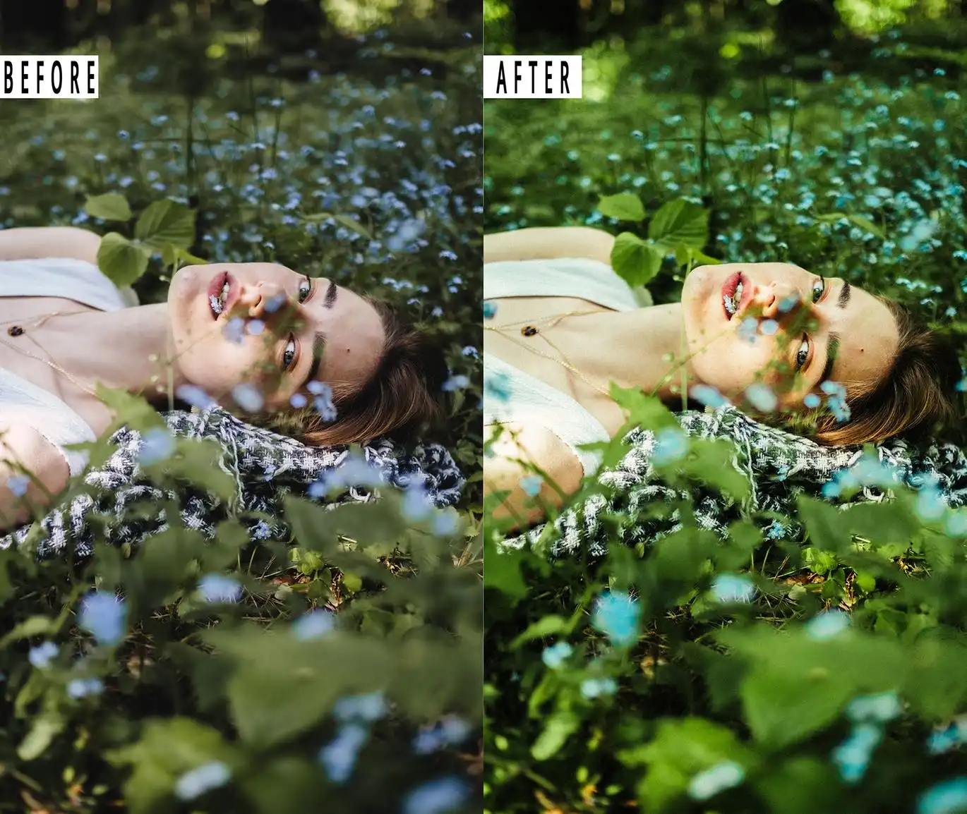 Nature Photoshop Action & Lightrom Presets