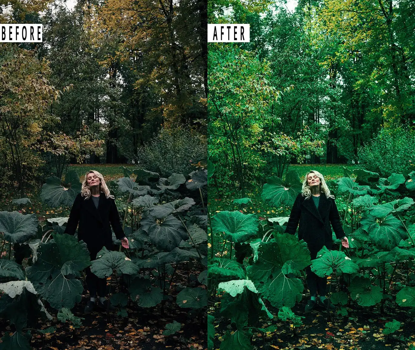 Nature Photoshop Action & Lightrom Presets 5 nature photoshop action lightrom presets 6