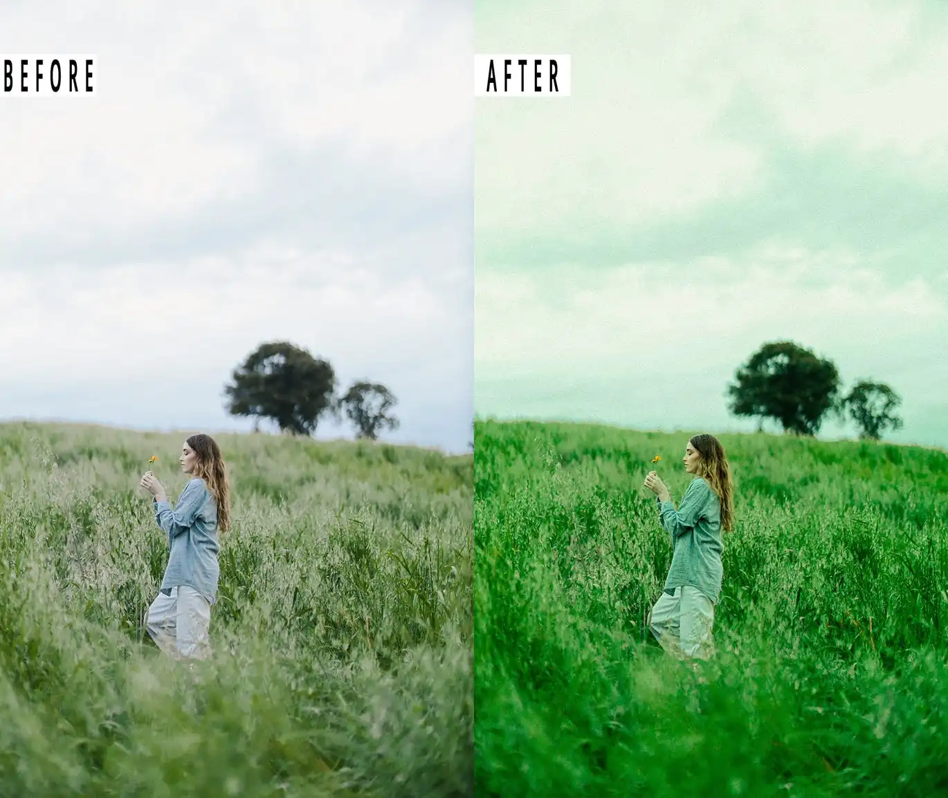 Nature Photoshop Action & Lightrom Presets 4 nature photoshop action lightrom presets 7
