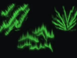northern lights brushes 4