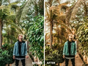 nostalgic effect action lightrom presets