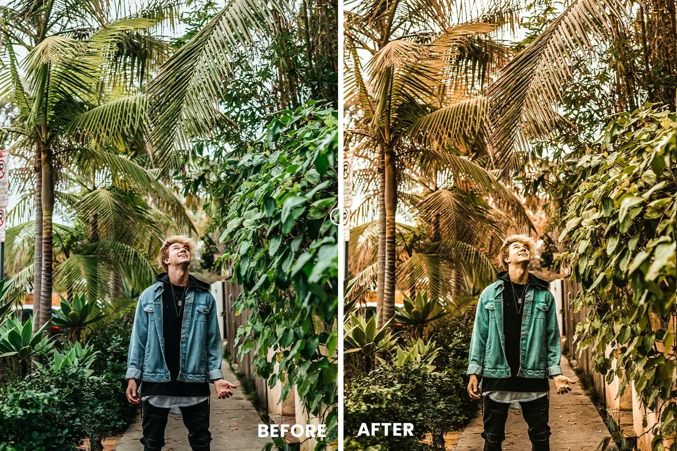 Nostalgic Effect Action & Lightroom Presets