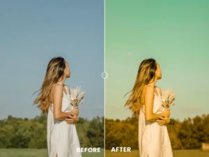 old memories action lightrom presets 5