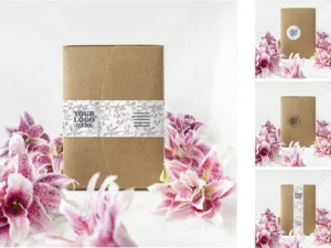 packaging folder kraft