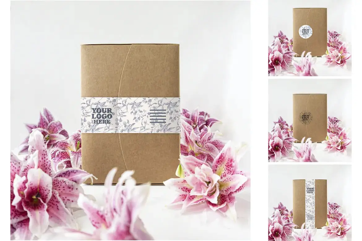 Packaging Folder Kraft