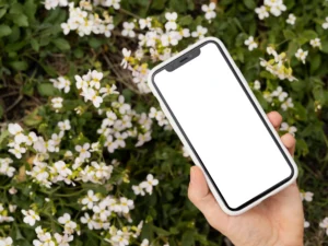 person holding smartphone mock up outdoors 3 2