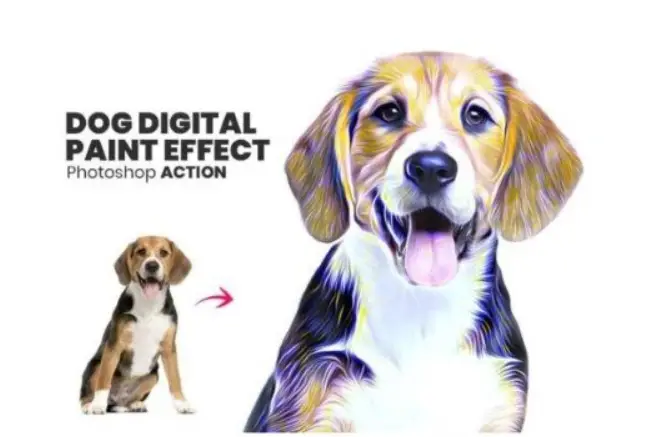 Pet Digital Paint Effect