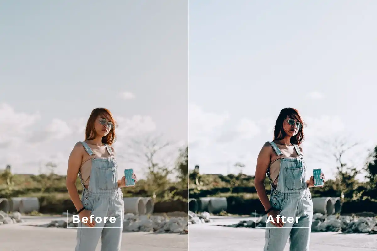Premium Elegant Photoshop Action