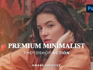 premium minimalist photoshop action 3