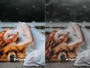 premium style photoshop action 2