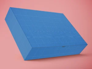 present box mockup