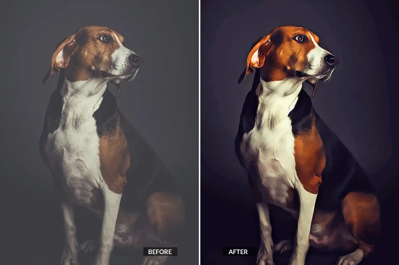 Realistic Painterly Photoshop Action 7 realistic painterly photoshop action 4