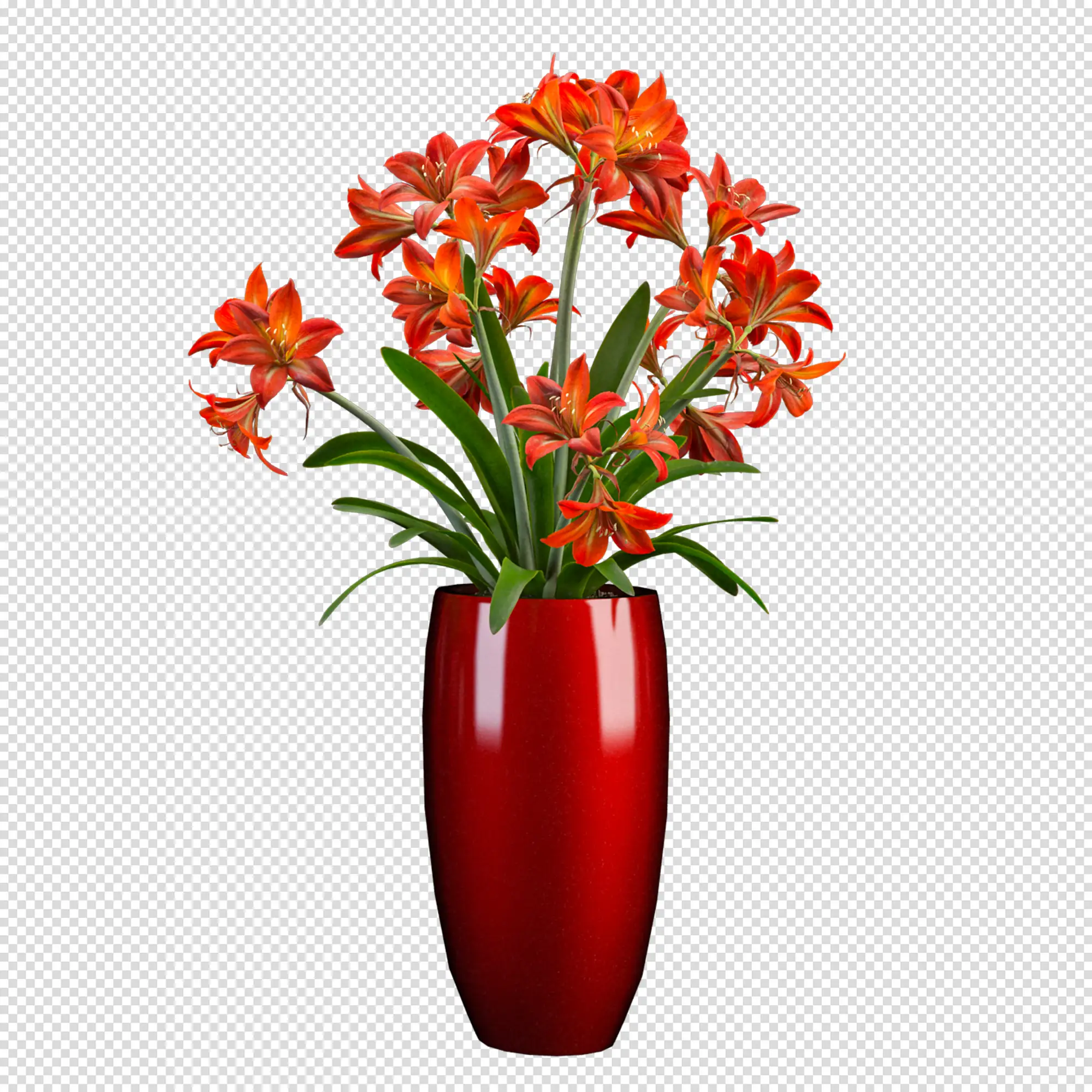 Roses In 3D Rendering Isolated