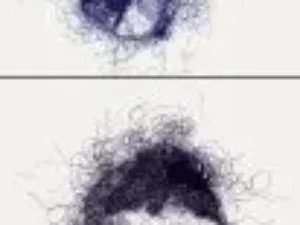 scribble pen sketch photoshop action v