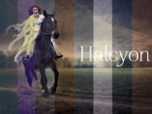 seasalt co halcyon collection