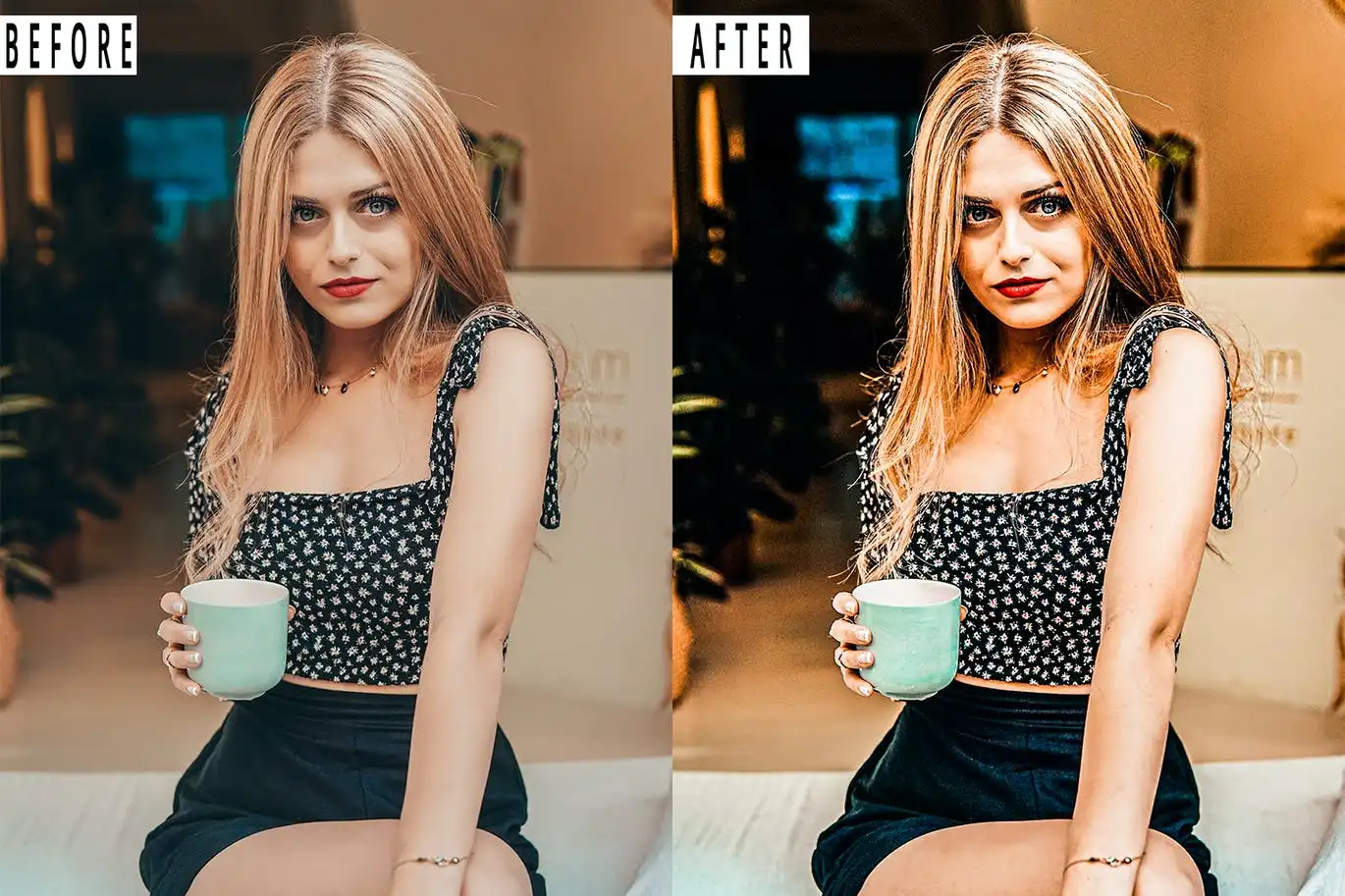 Shady Shot Action & Lightroom Presets