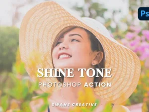 shine tone photoshop action 2