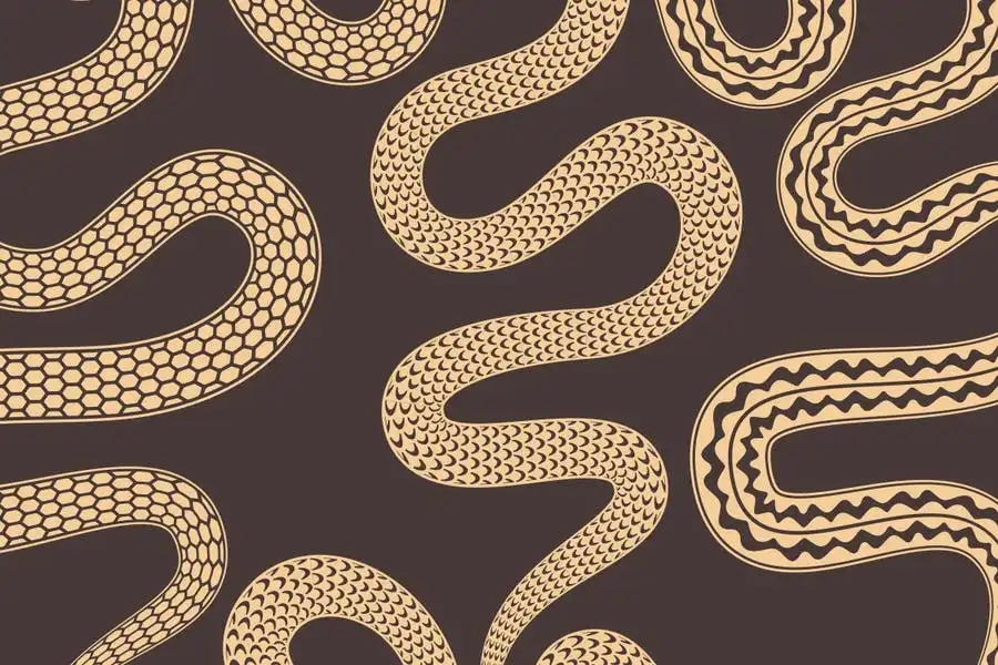 Skin Snake Pattern Brushes Adobe Illustrator
