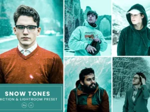 snow tones action lightrom presets