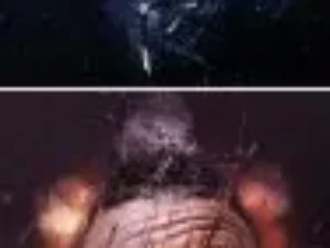 split photoshop action animation