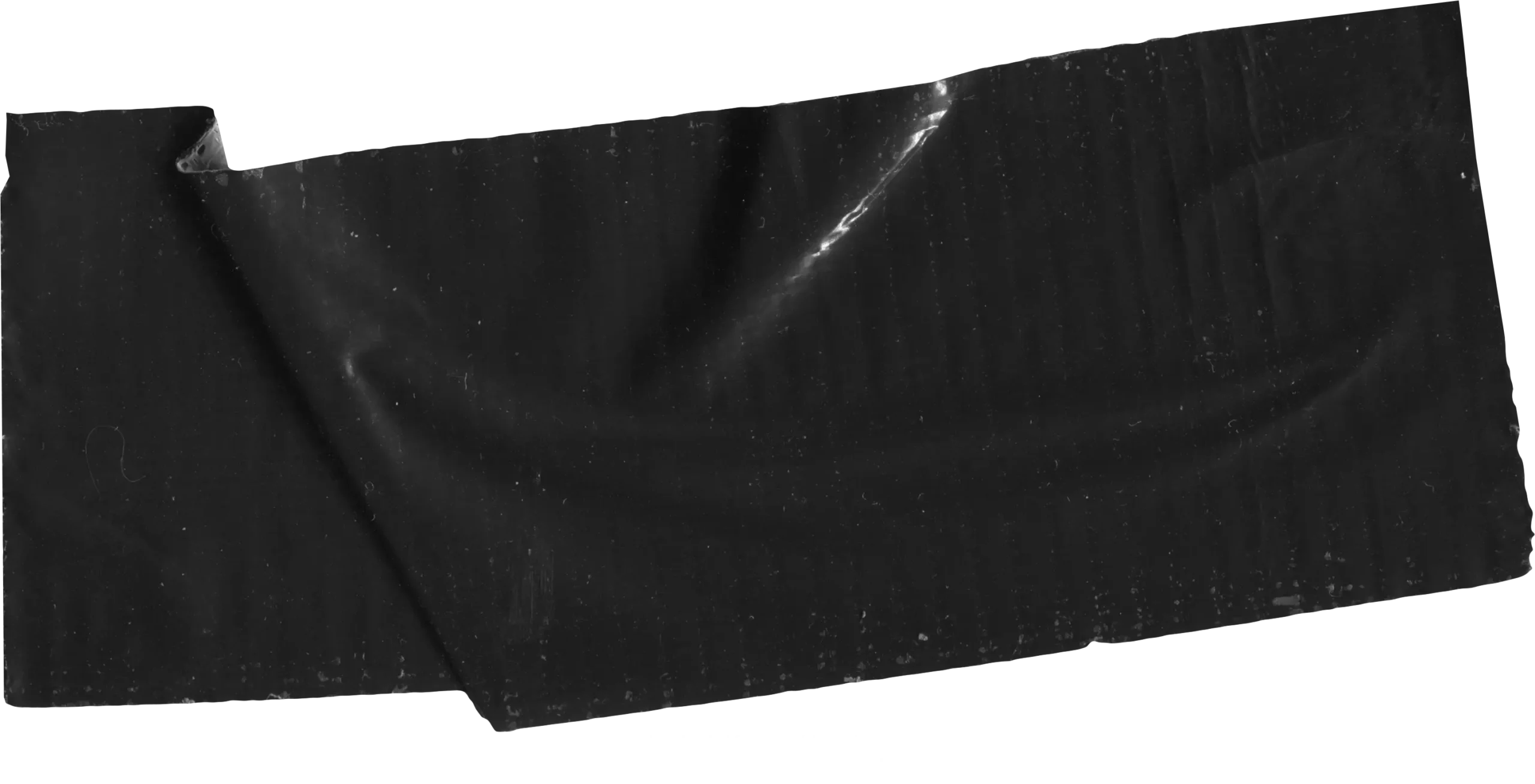 Tape Adhesive Mockup