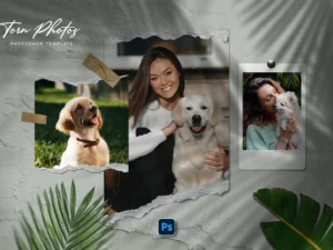torn photo template