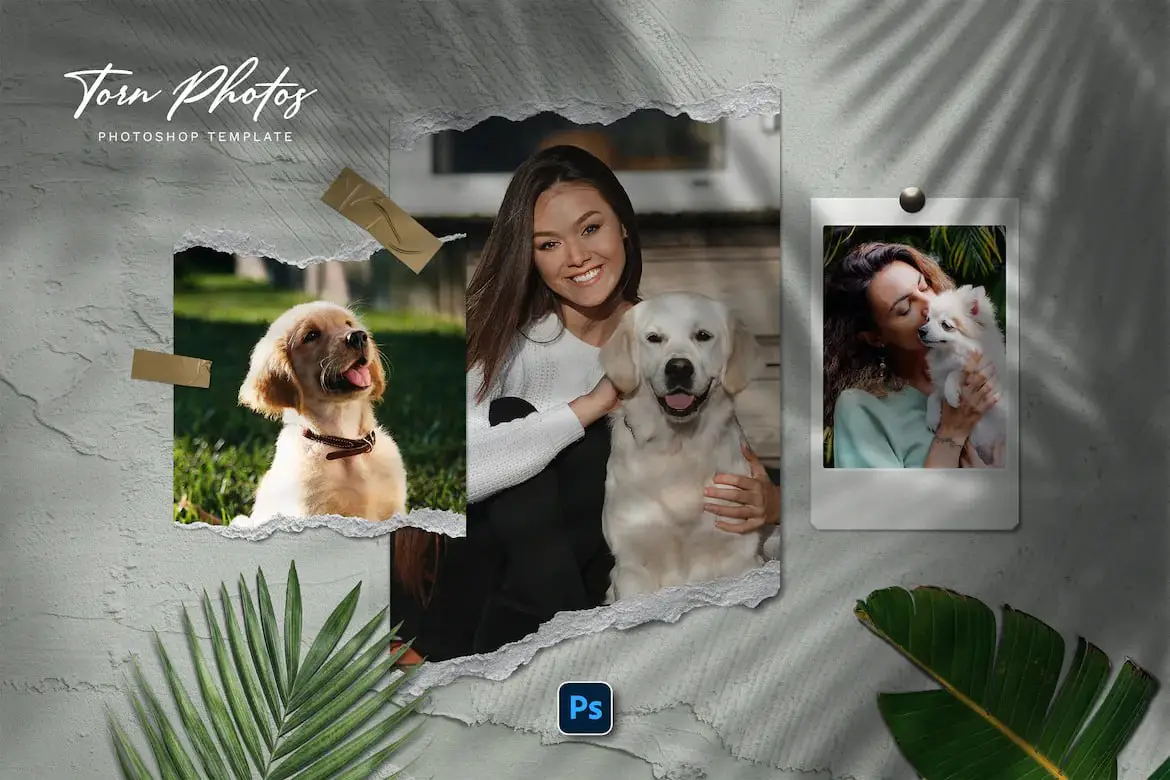 Torn Photo Template