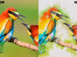 watercolor photoshop action 2