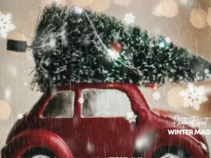 winter magic photo effect 6u9eczd