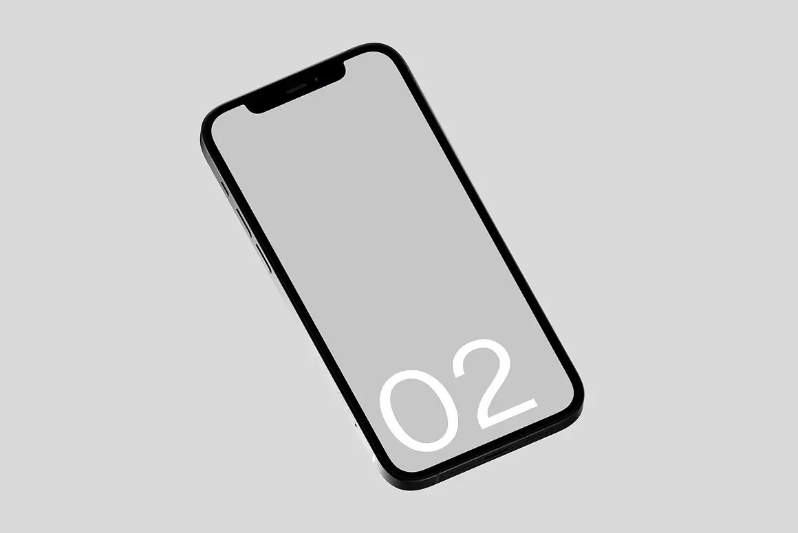 Iphone 12 02 Standard Mockup
