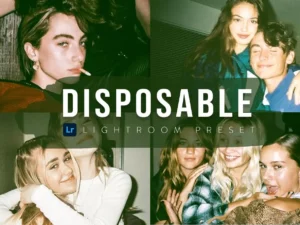 10 disposable lightroom preset 3
