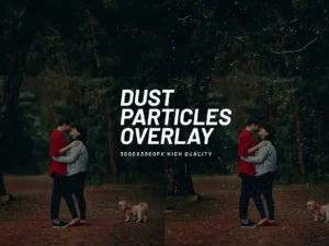 10 dust particles overlay
