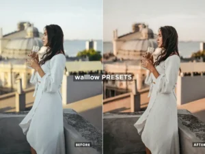 10 gold brown desktop mobile lightroom presets 6