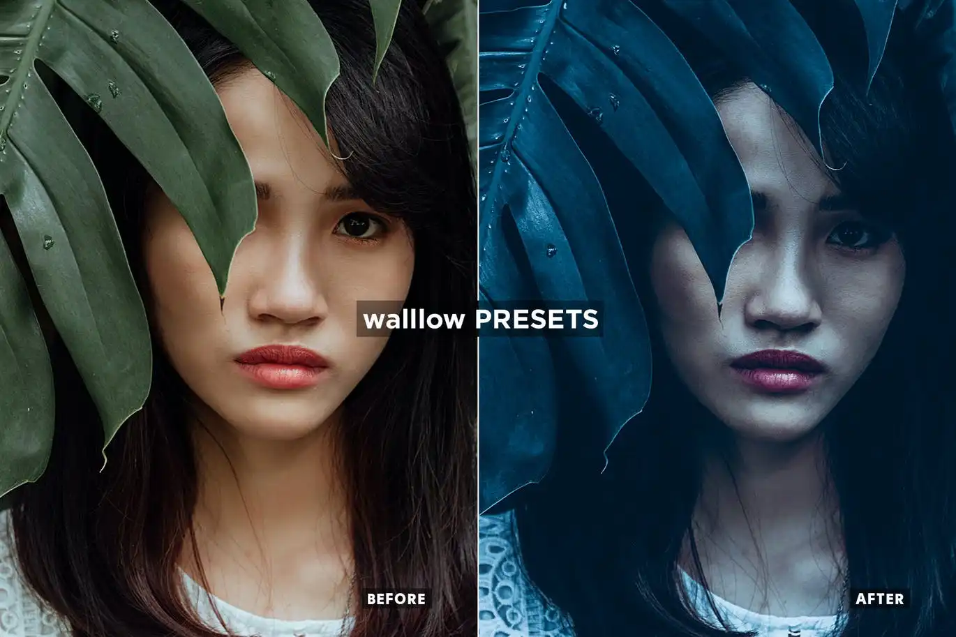 10 night glow presets mobile desktop lightroom 7