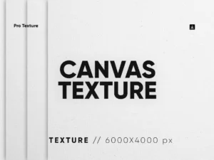 10 canvas texture1