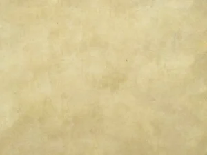 10 cardboard texture03 1