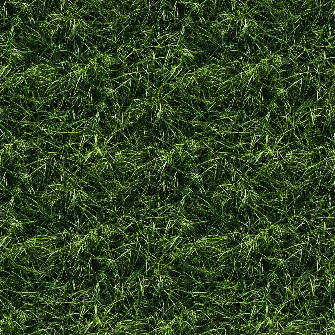 10 Grass Texture Background 7 10 grass texture background 1