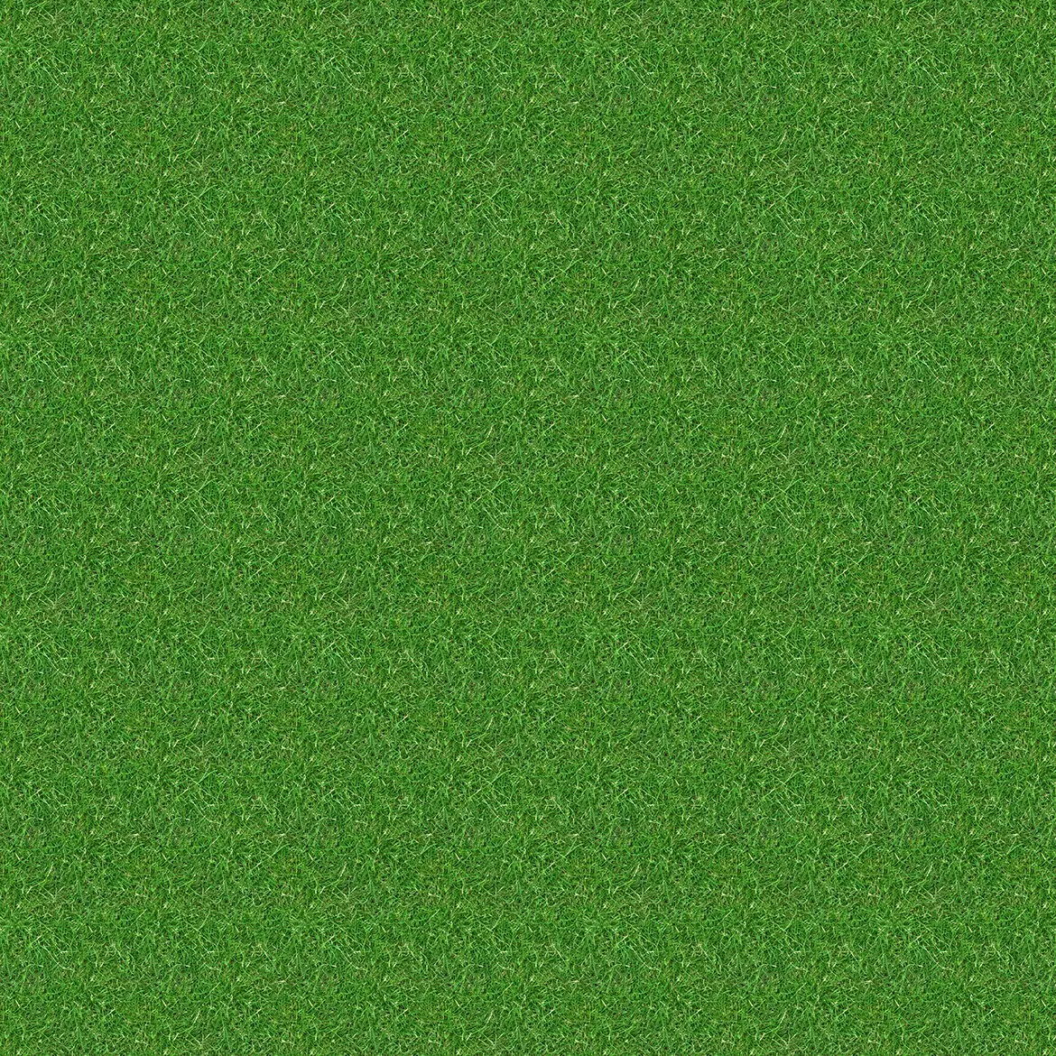 10 Grass Texture Background 8 10 grass texture background 3