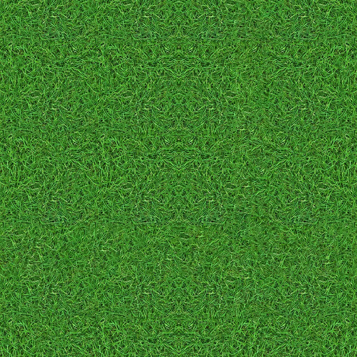 10 Grass Texture Background 9 10 grass texture background 4