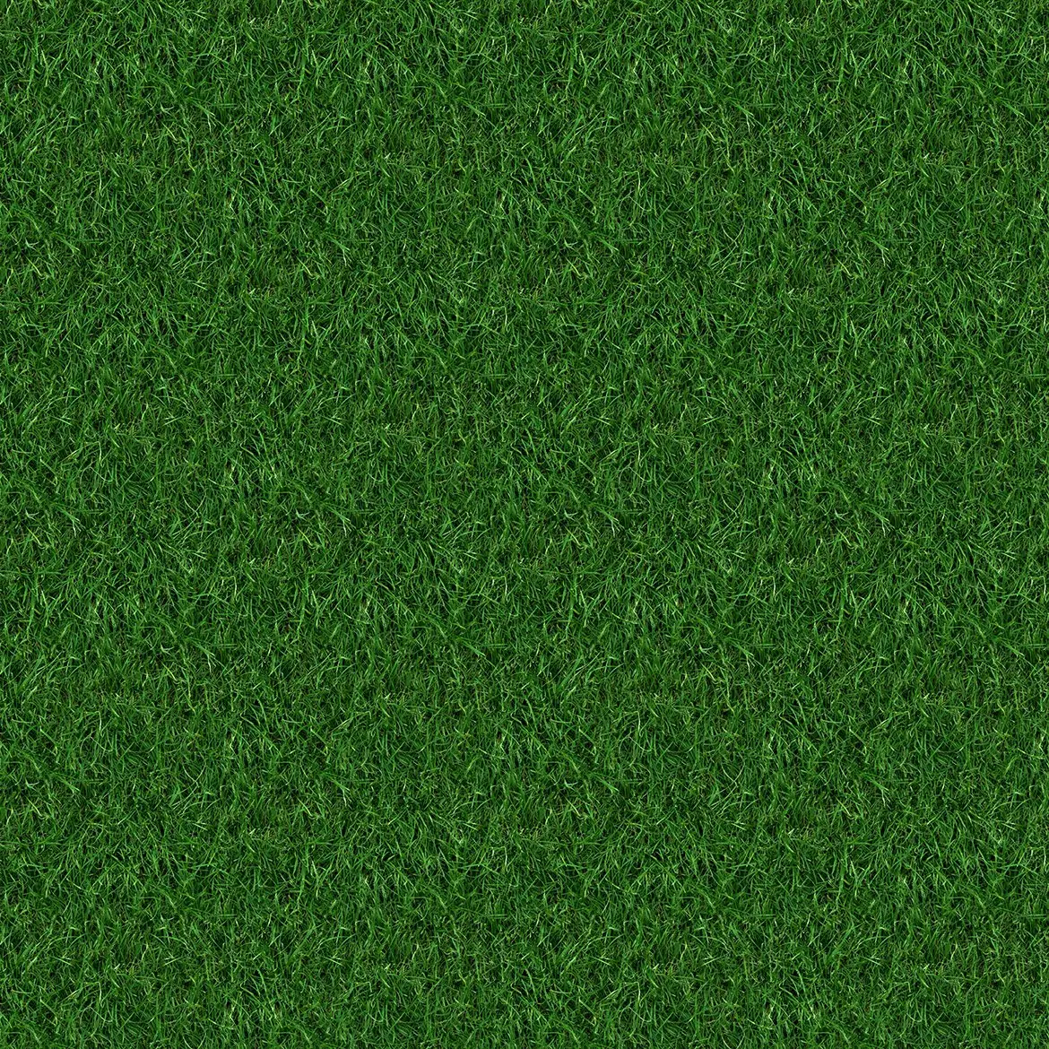 10 Grass Texture Background 5 10 grass texture background 5
