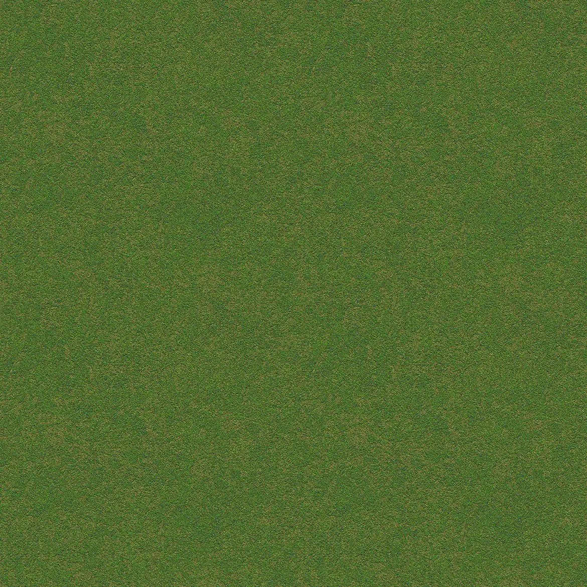 10 Grass Texture Background 4 10 grass texture background 6